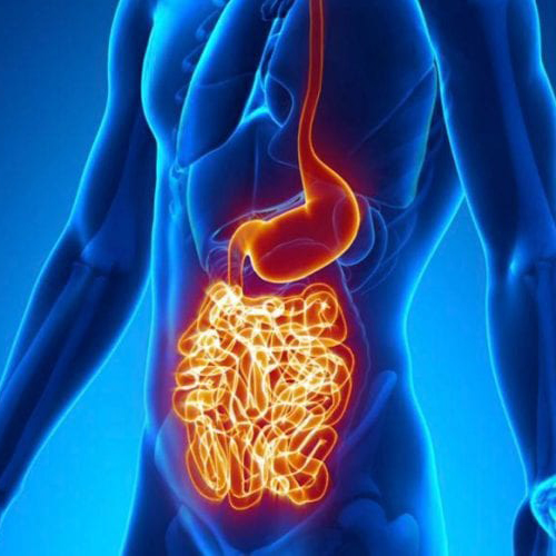 Holistyczne Podej Cie Medycyny Integracyjnej W Leczeniu Chor B Autoimmunologicznych Imc